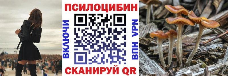 Галлюциногенные грибы мицелий  где купить наркотик  Курган 