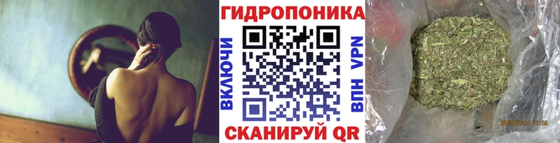 купить наркотики цена  кракен онион  Шишки марихуана семена  Курган 